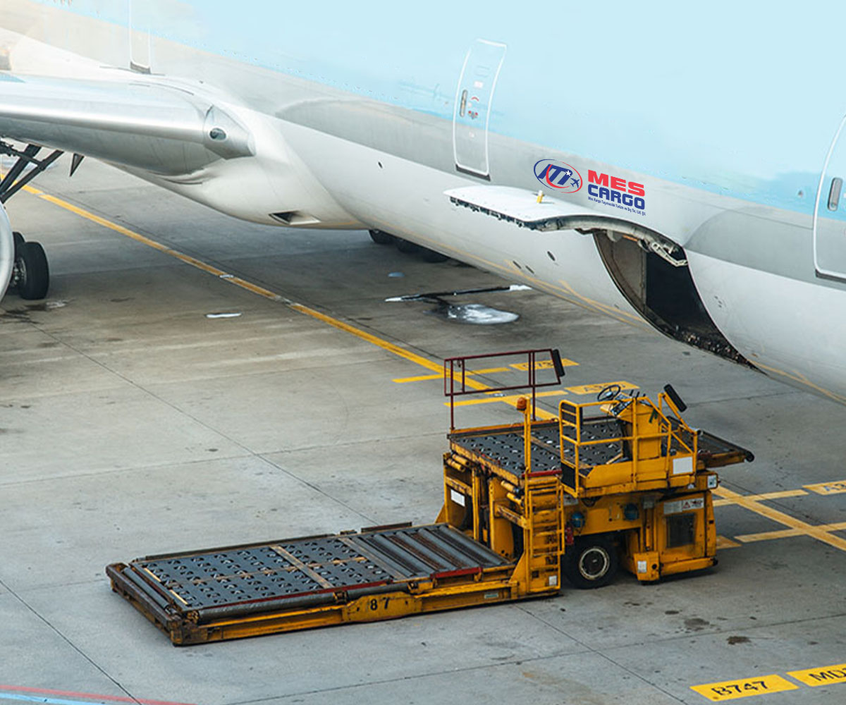 Cargo Airline Management
